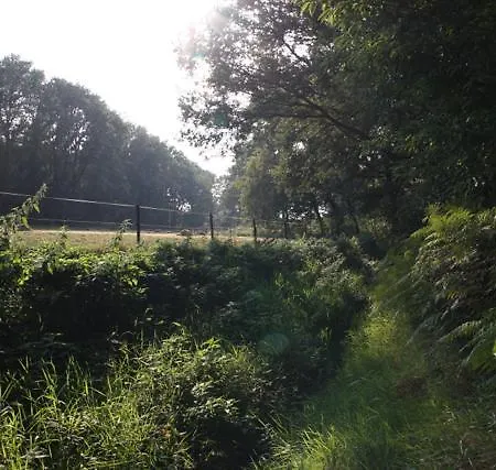 Bed & Breakfast De Lindehoek *