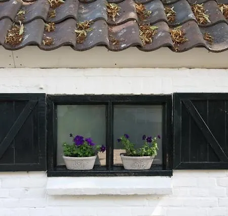 De Lindehoek Bed & Breakfast Zelhem