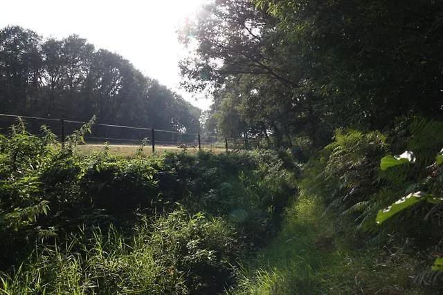 Oda ve Kahvaltı De Lindehoek *